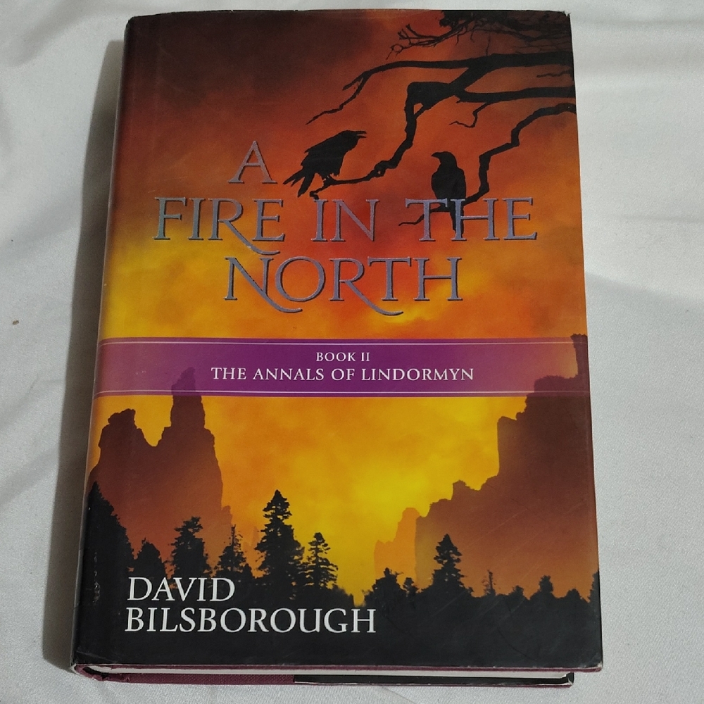 A Fire in the North: Book 2 of the Annals of Lindormyn Paperback – Illustrated,